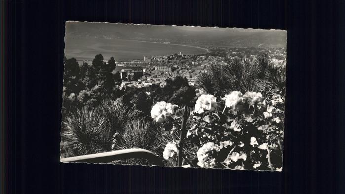 Cannes Alpes-Maritimes Vue generale