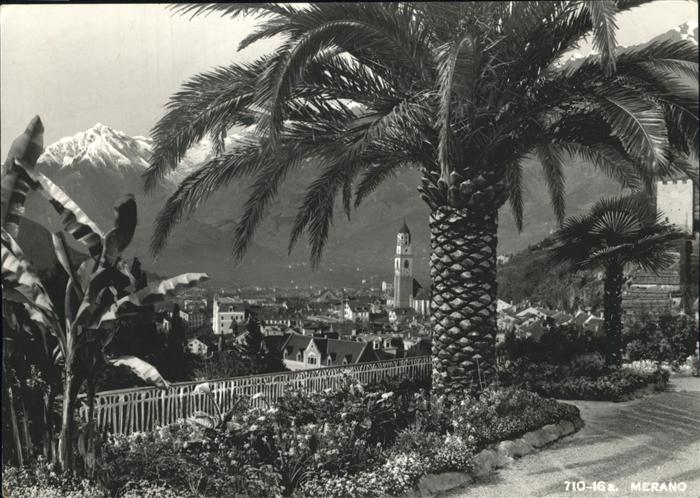 Merano Meran Teilansicht Palmen