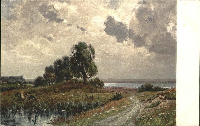 Staebli Adolf Gewittertag