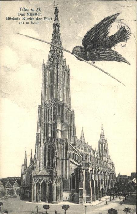 Voegel Birds Oiseaux Uccelli Pajaros-- Spatz Ulm Muenster