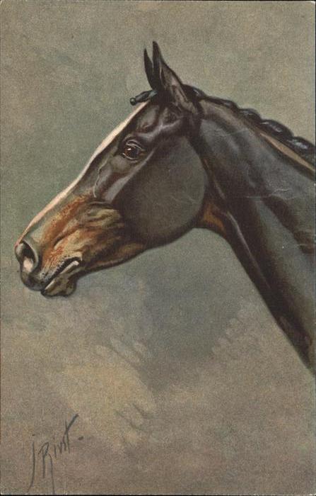 Pferde Künstlerkarte No. 154