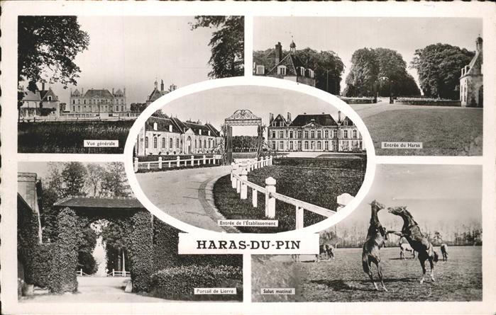 Le Pin-au-Haras Haras-du-Pin