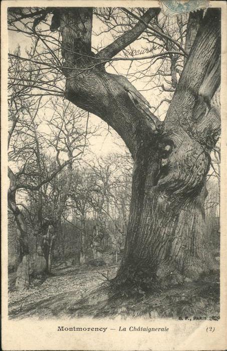 Montmorency La Chataigneraie