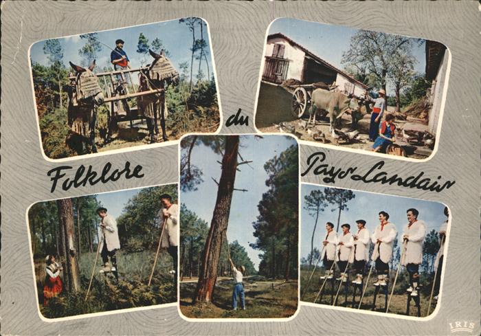 Mont-de-Marsan Folklore