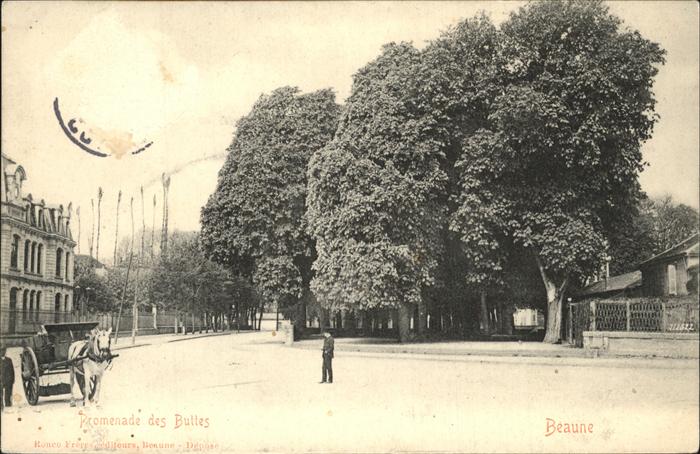 Beaune Cote d Or Burgund Promenade des Buttes
