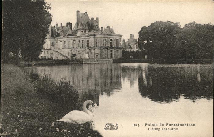 Fontainebleau Seine et Marne Palais Etang des Carpes Schwan