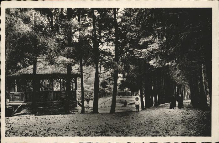 Raon-l Etape Vosges La Criquette Pavillon