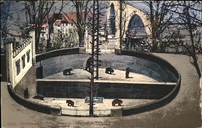 Baeren Bern Zoologischer Garten