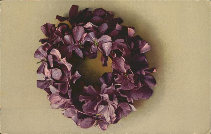 Blumen Hortensie Kranz