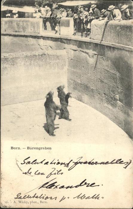 Baeren Bern Bärengraben Zoo