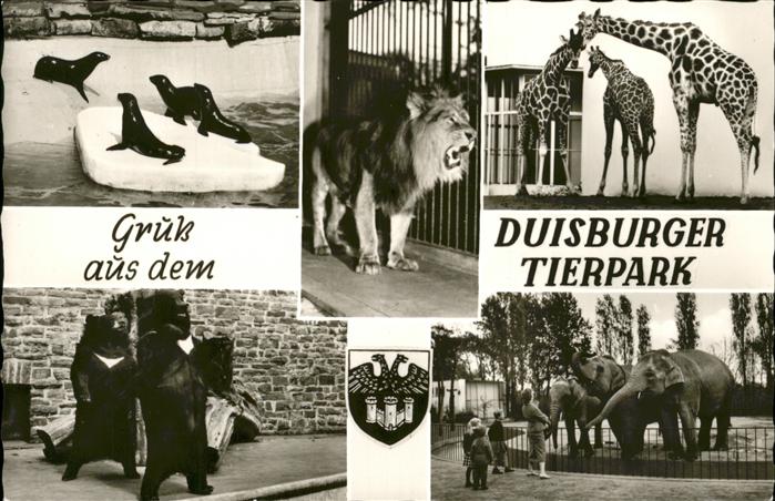 Zoo Duisburg Tierpark Löwe Giraffen Elefant