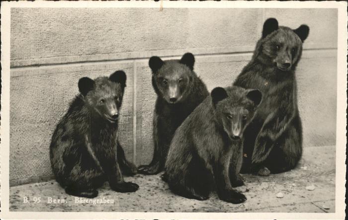Baeren Bern Zoo