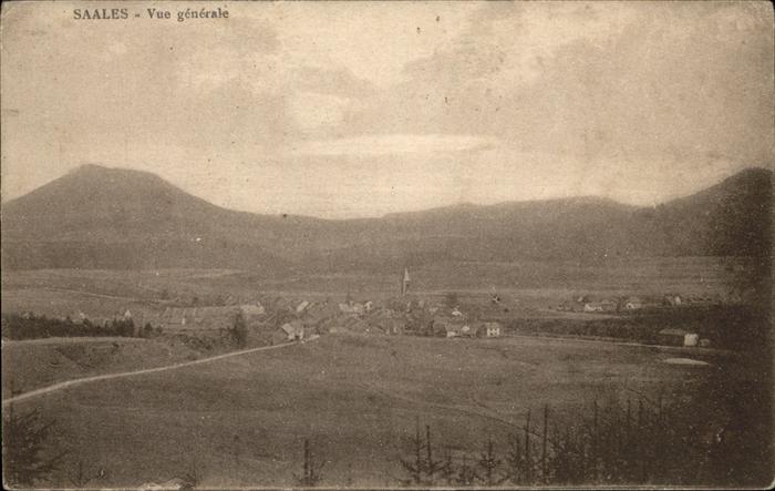 Saales Vue generale