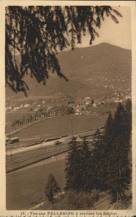 Fellering Vue panoramique a travers les Sapins