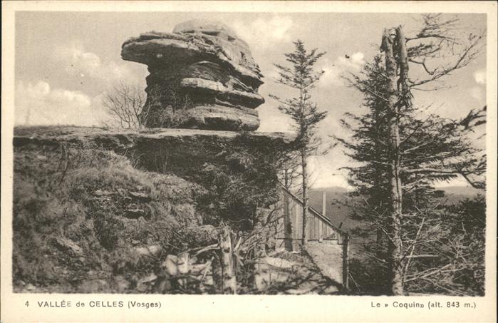 Celles-sur-Plaine Tete du Coquin