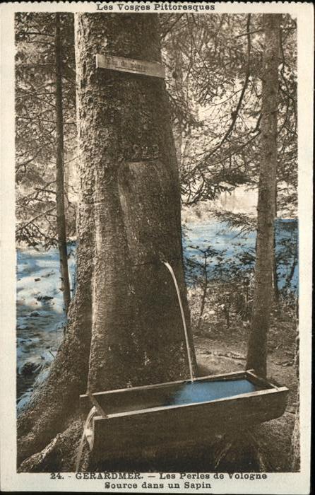 Gerardmer Vosges Source dans un Sapin