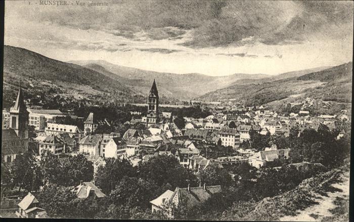 Munster Haut Rhin Elsass Vue panoramique Chatedrale