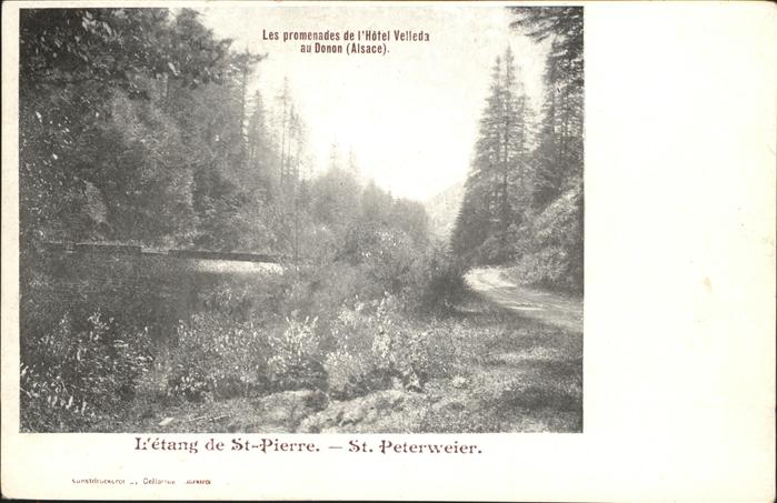 Saint-Pierre  Bas-Rhin Promenades de l_Hotel Velleda au Donon