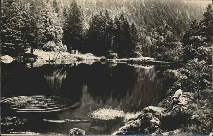 Munster Haut Rhin Elsass La Vallee de Munster Lac Fischboedle Se