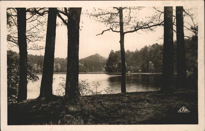 Philippsbourg Etang de Lieschbach