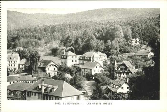 Le Hohwald Les Grand Hotels