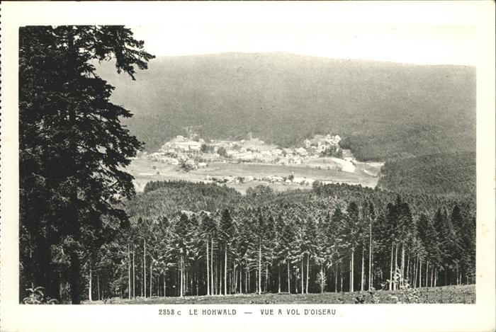 Le Hohwald Panorama vue a vol d_oiseau