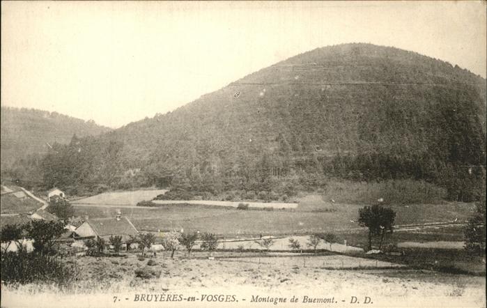 Bruyeres Vosges Montagne de Buemont