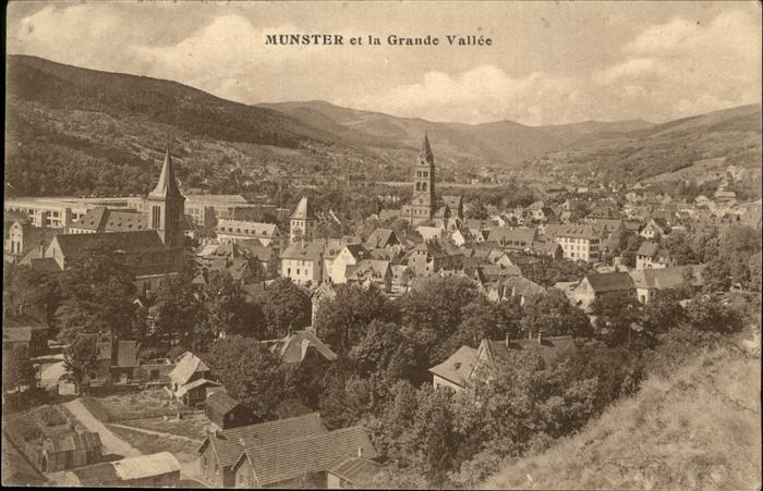 Munster Haut Rhin Elsass Vue sur la ville et la Grand Vallee