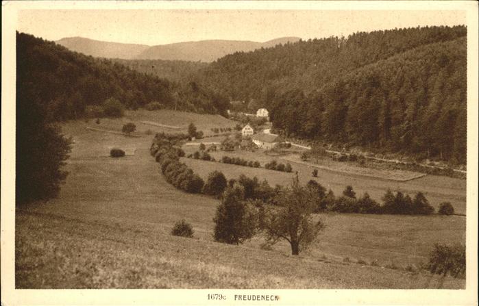 Freudeneck Wangenbourg-Engenthal Vue panoramique