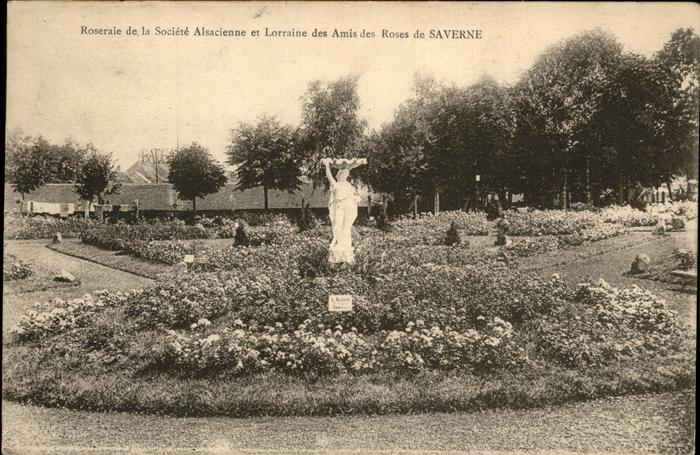 Saverne Bas Rhin Alsace Roseraie Lorraine des Amis des Roses Ro