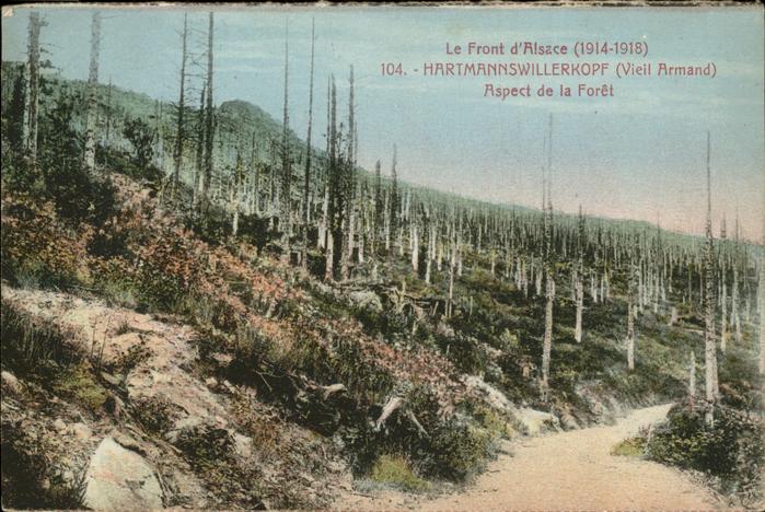 Hartmannswillerkopf Vieil Armand Front d_Alsace