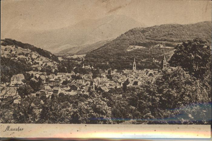 Munster Haut Rhin Elsass Vue panoramique