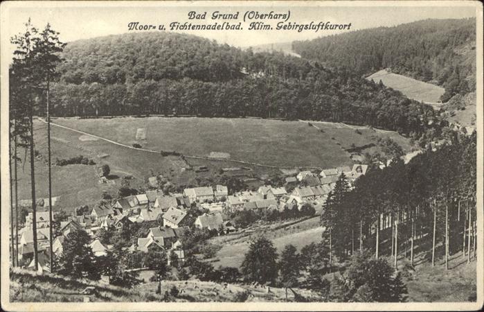 Bad Grund Panorama