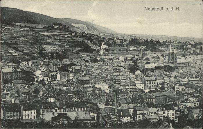 Neustadt Haardt Panorama