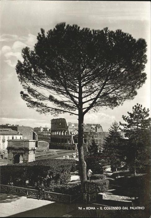 Rom Roma Colosseo dal Palatino