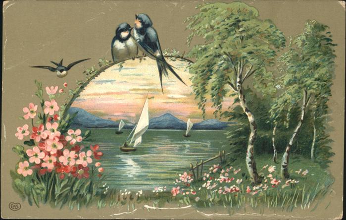 Voegel Birds Oiseaux Uccelli Pajaros-- Schwalben Segelboote