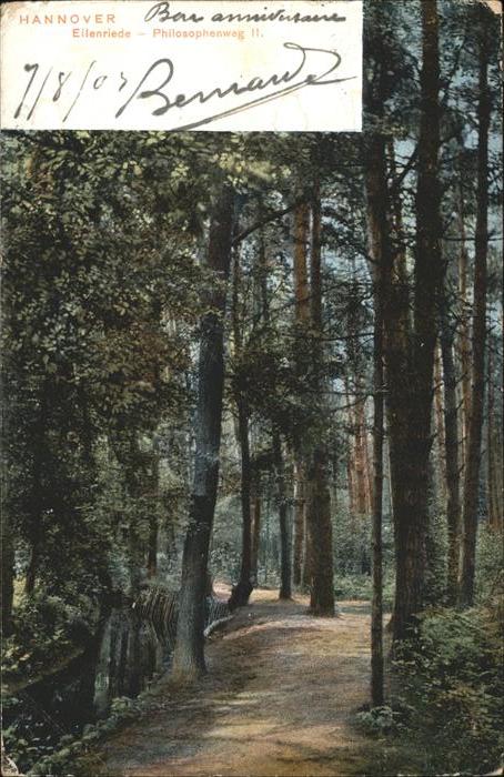 Baeume Trees Hannover