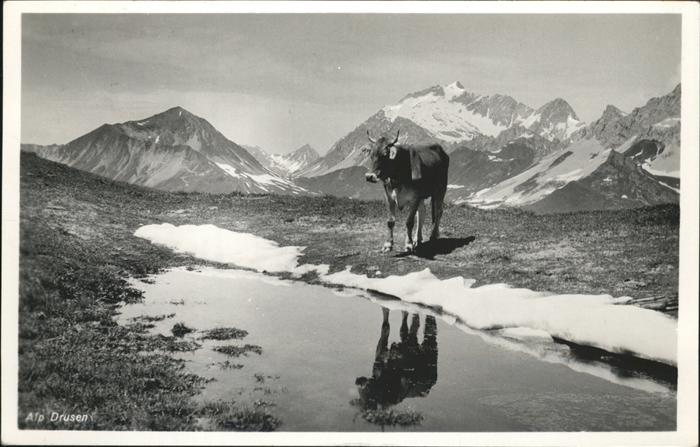Kuehe Alp Drusen