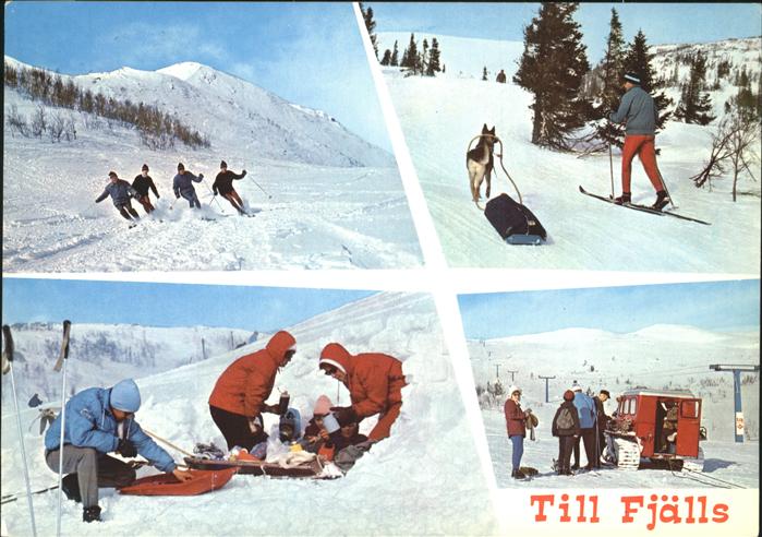 Skifahren Schlitten Till Fjälls Schweden