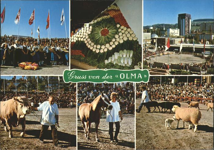 Landwirtschaft Olma St. Gallen Schweiz Messe Pferd Sch
