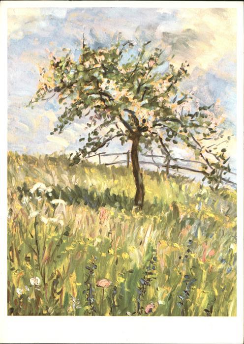 Kuenstlerkarte R. Wettstein Illnau Blühender Baum