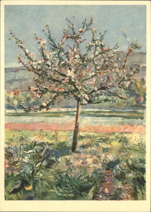 Kuenstlerkarte Helene Roth Wangen a. A. Blütenbaum