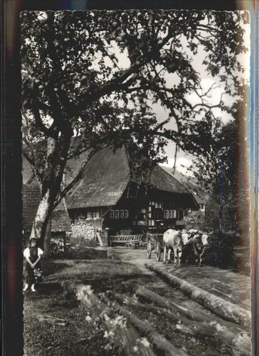 Schwarzwaldhaeuser Pferdekutsche