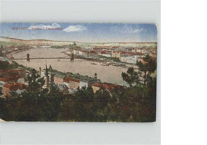 Budapest Totalansicht Donau Bruecke