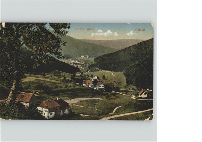 Bad Herrenalb Panorama Gaistal