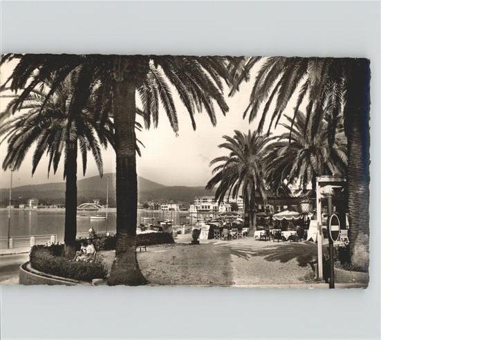 Sainte Maxime sur Mer Var Place des Palmiers