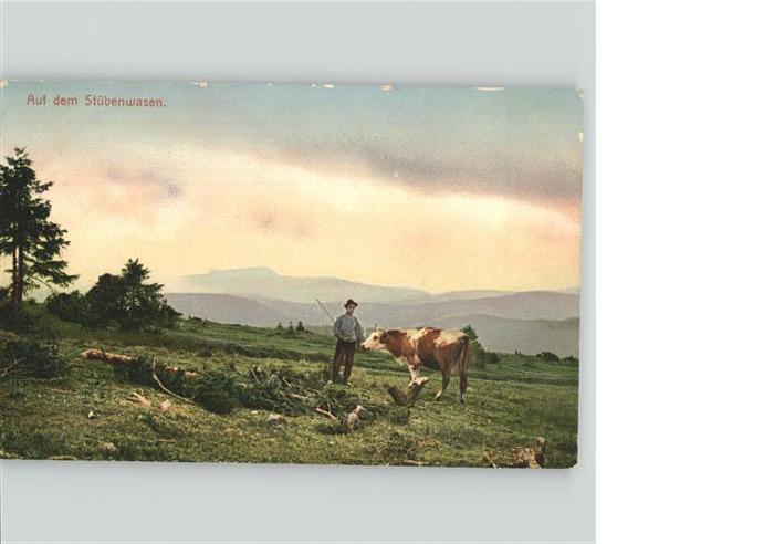 Feldberg Schwarzwald Bauer auf dem Stuebenwasen Kuh