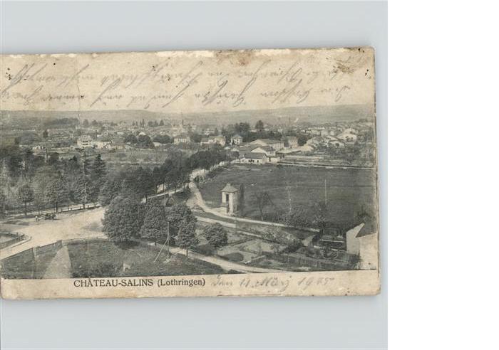 Chateau-Salins Vue generale