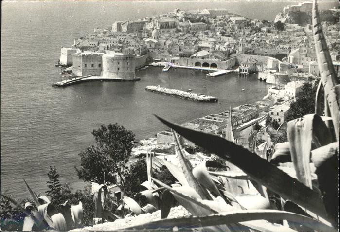 Dubrovnik Ragusa Panorama