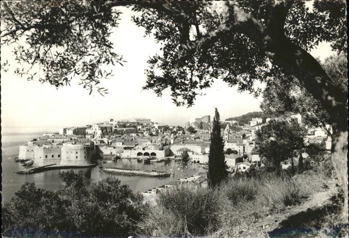 Dubrovnik Ragusa Panorama